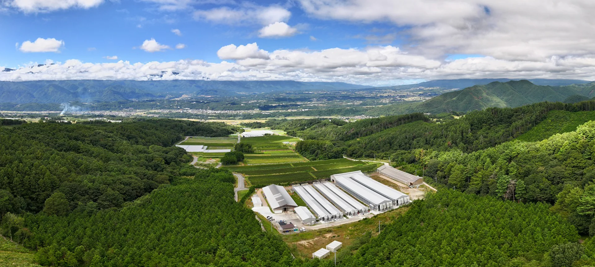 商品紹介 株式会社ハイチック たまご 鶏卵 卵 玉子 にわとり 清里 明野 山梨 甲斐市 甲府市 自然
