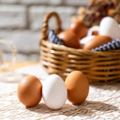 alt="株式会社ハイチック たまご 鶏卵 卵 玉子 清里 明野 ワインたまご 山梨 甲斐市 甲府市 商品 自然 品質"